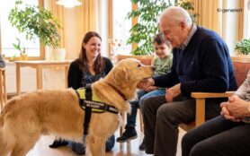 Therapiehund