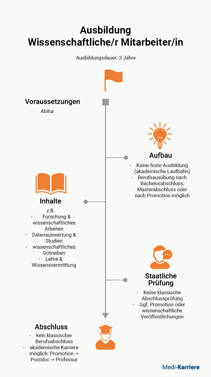 Wissenschaftlicher Mitarbeiter