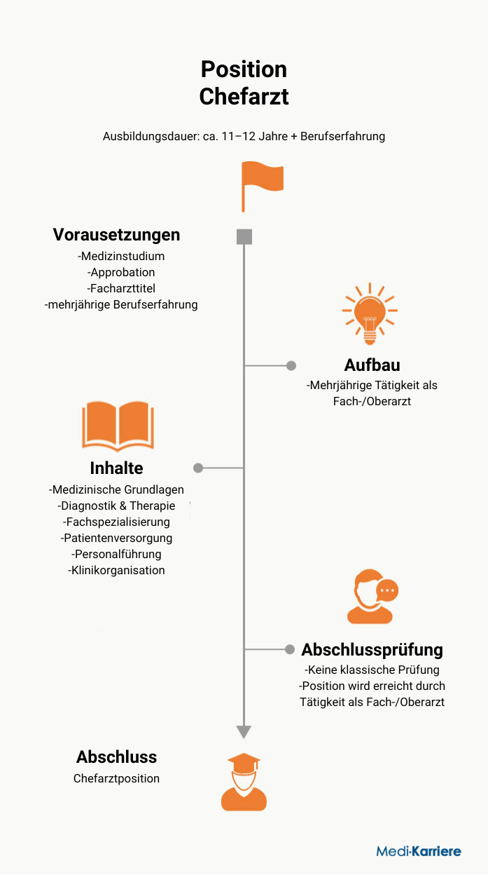 Chefarzt Infografik
