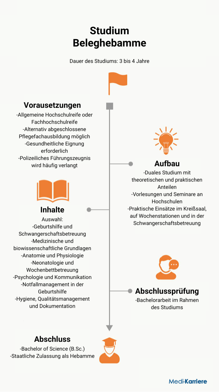Infografik Beleghebamme