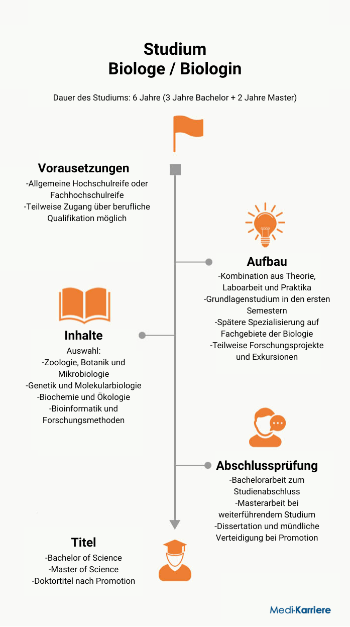 Infografik Biologie