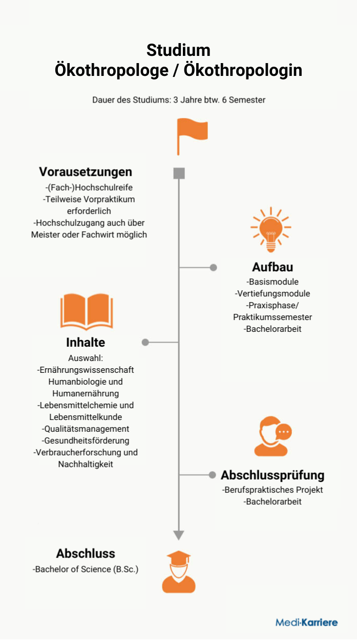 Infografik Ökothropologe Ökothropologin
