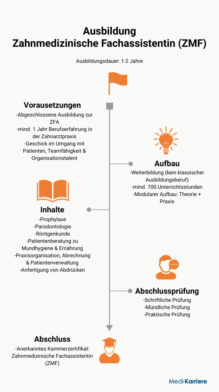ZMF Infografik