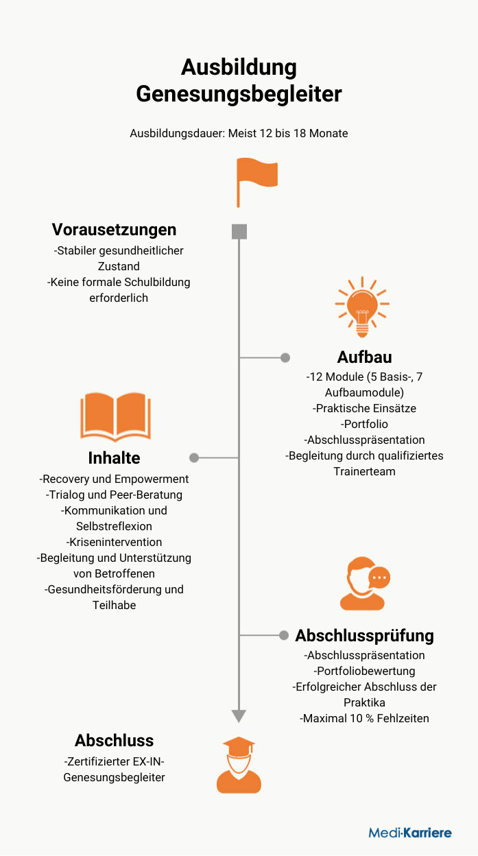 Infografik Genesungsbegleiter