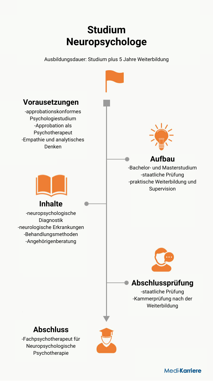 Infografik Neuropsychologe
