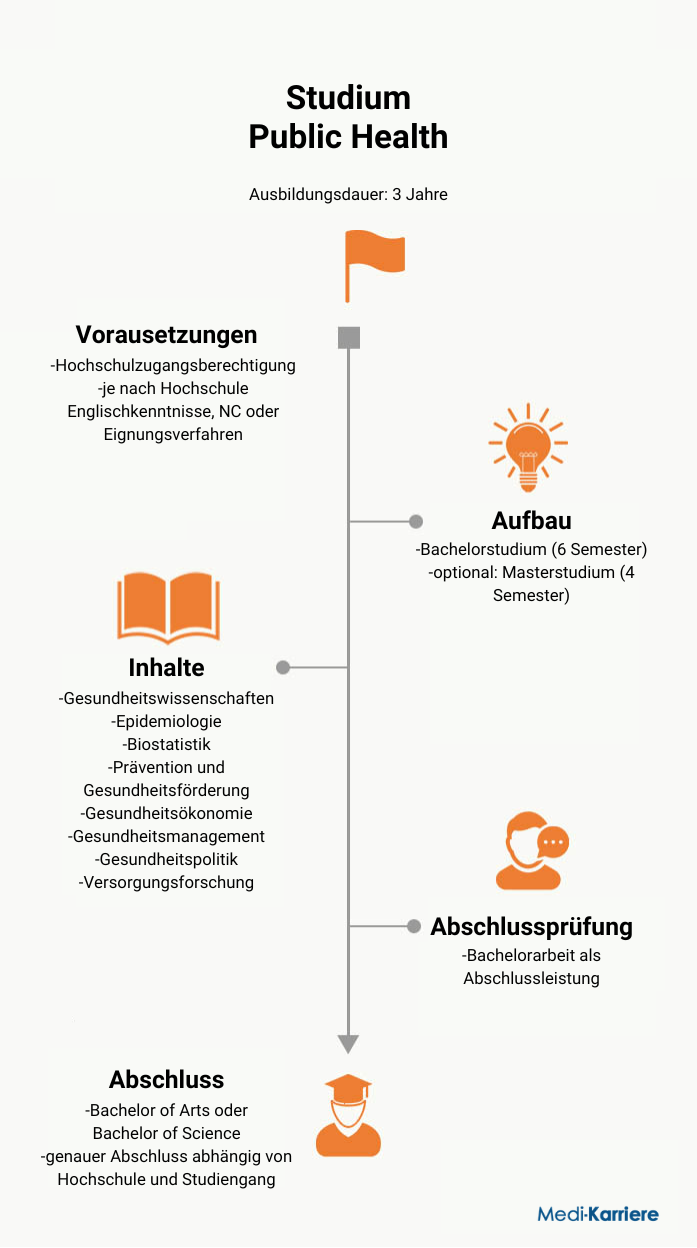 Infografik Public Health