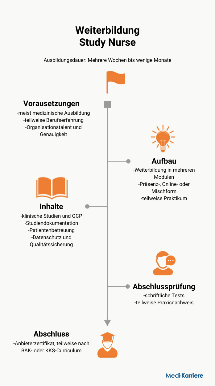 Infografik Study Nurse