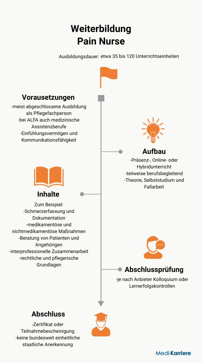 Pain Nurse Infografik