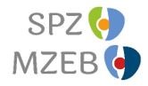 Zentrum für Sozialpädiatrie und Frühförderung Trier und Zentrum für Erwachsene mit Behinderung Trier gGmbH